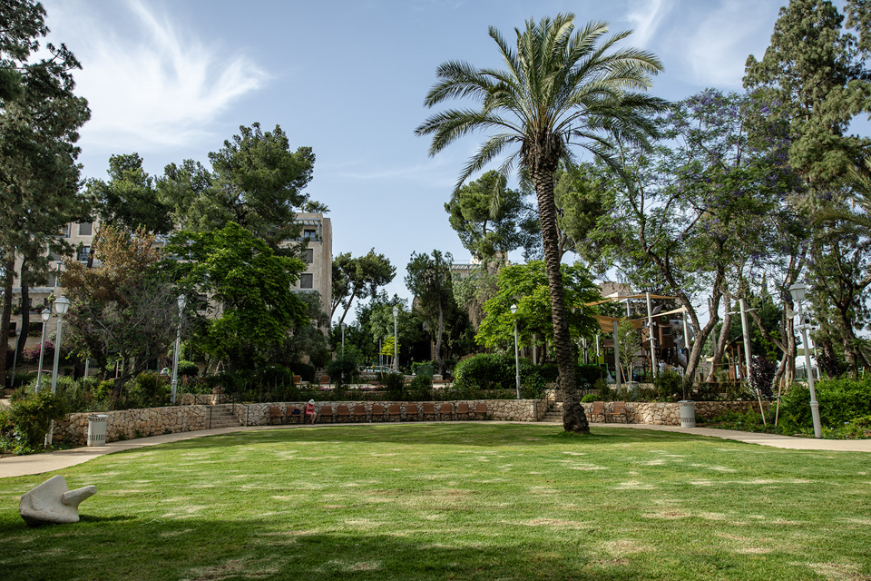 SHAI1977מאי 2024._