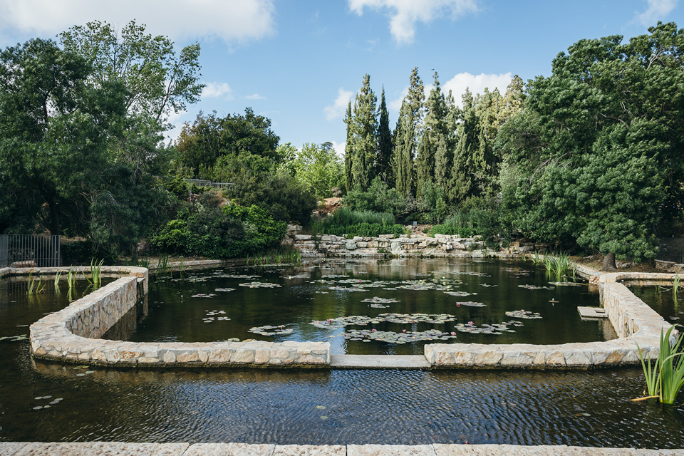 SHAI5172מאי 2024_