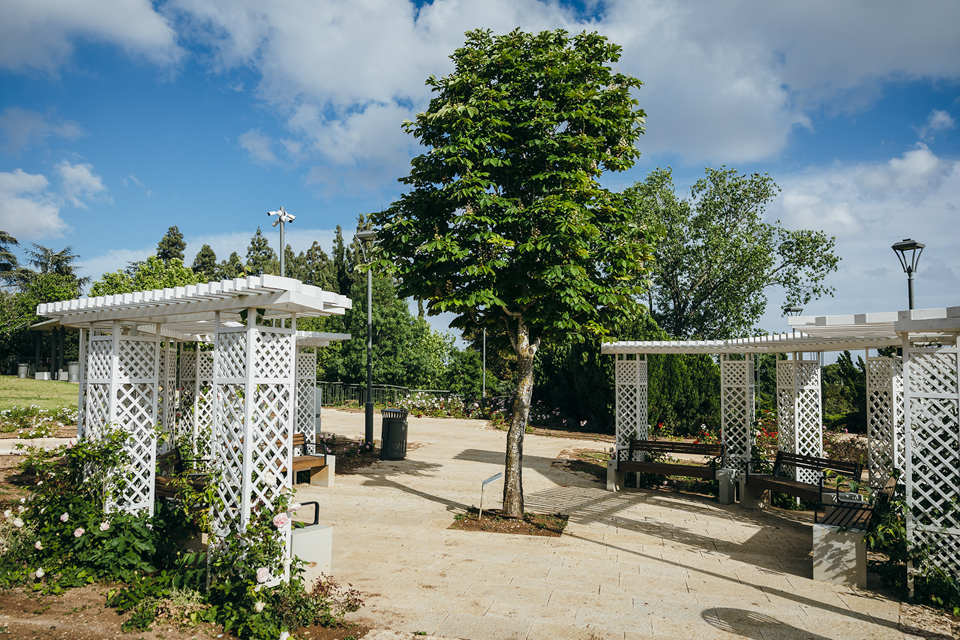 SHAI5222מאי 2024_