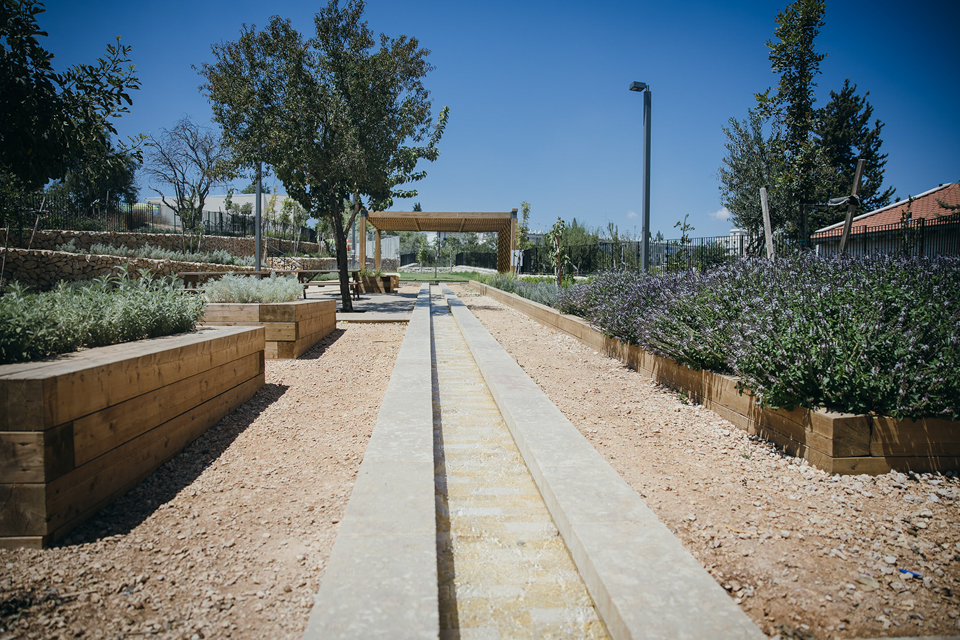 SHAI8326אוגוסט 24