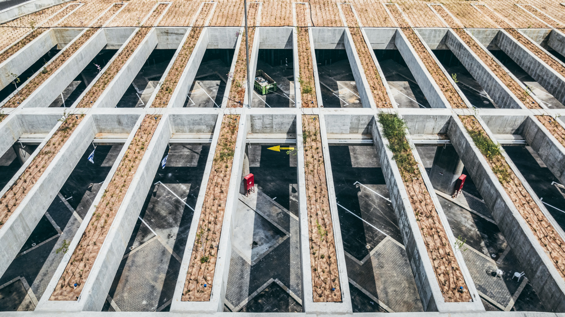 ????? ??????24 / 2022/23