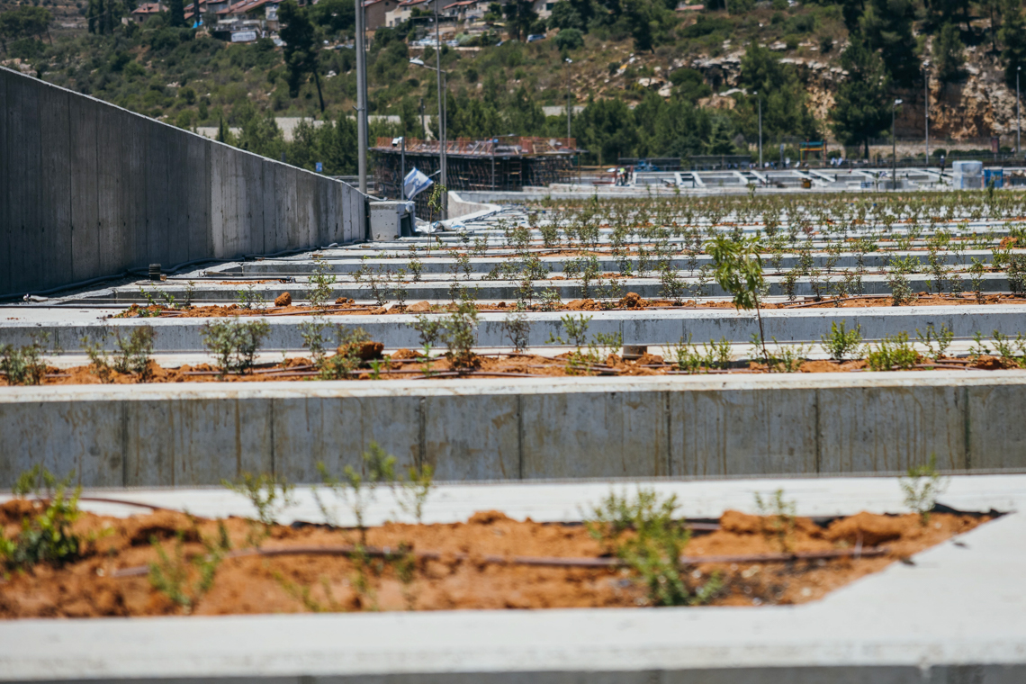 ????? ??????24 / 2022/23