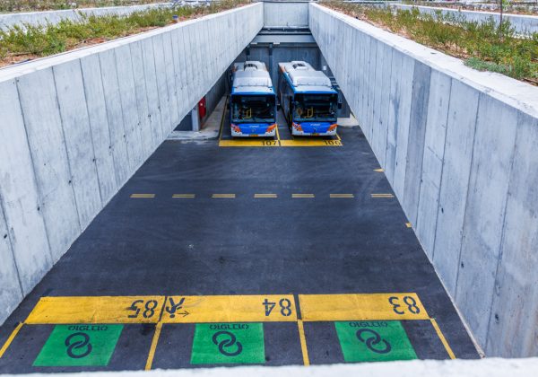 חניון ארזים 2020-2024